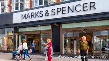 Marks & Spencer's 'so comfy' £20 wide leg trousers are 'ideal for transition of seasons'