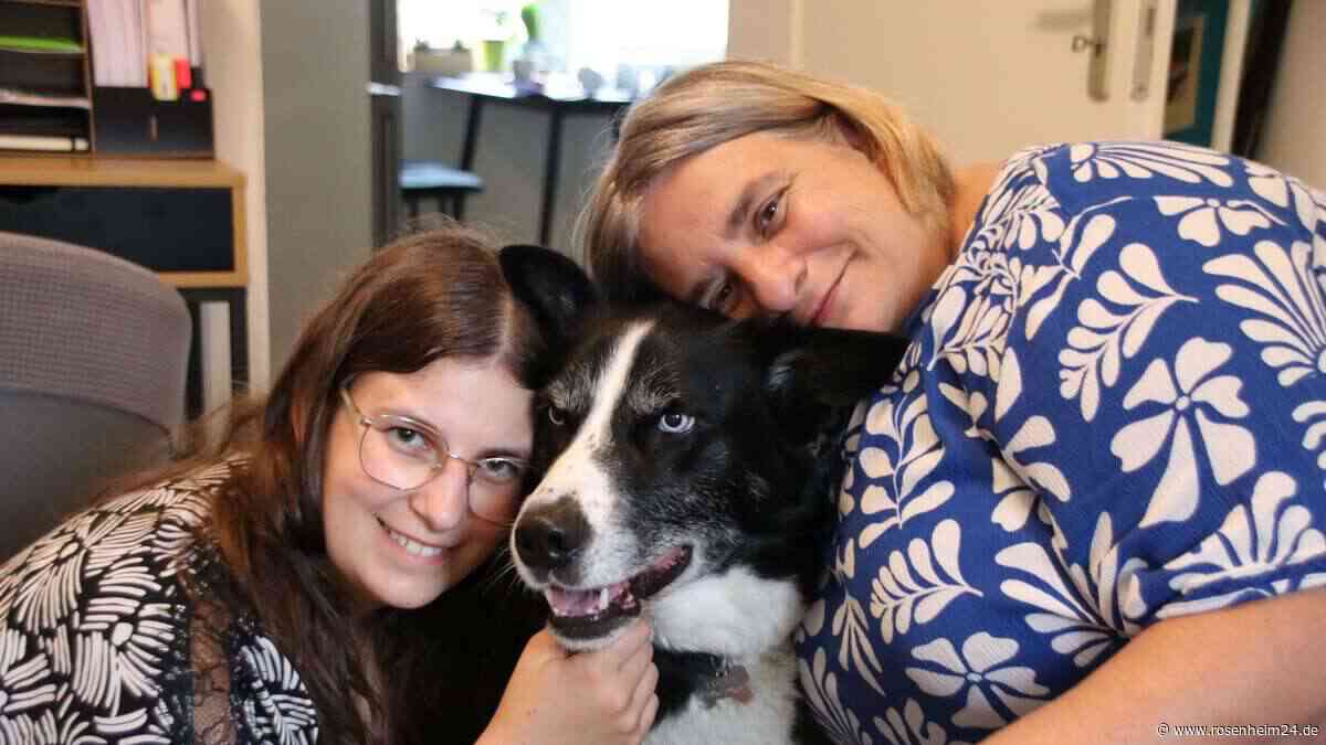 Neue Hüften für Hund Lucky: Familie aus Traunreut zahlt 8.000 Euro Tierarztkosten selbst