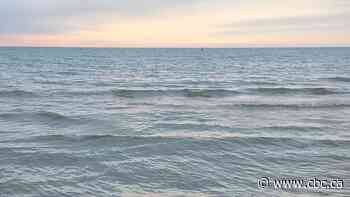 Bodies of 2 missing swimmers found near Grand Bend: OPP