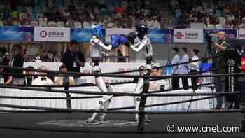 China’s Robot Olympics Keep Getting Wilder