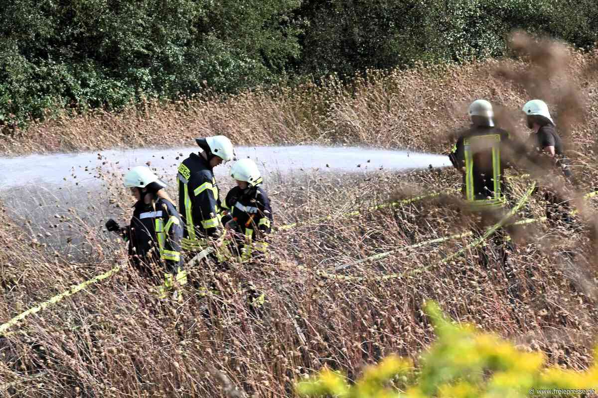 Großeinsatz für Feuerwehr in Hainichen: Feldbrand am Logistikzentrum