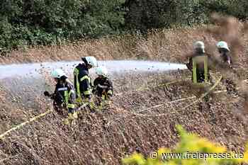 Großeinsatz für Feuerwehr in Hainichen: Feldbrand am Logistikzentrum