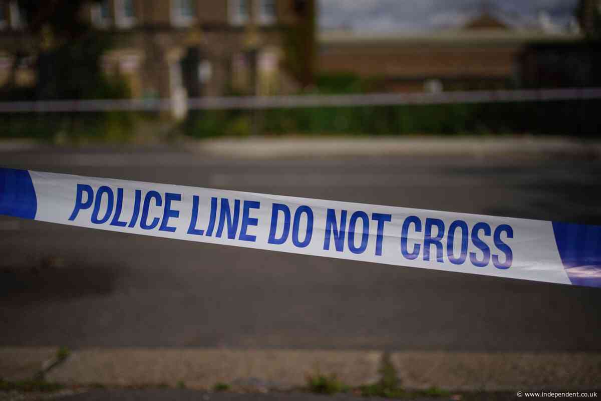 Driver, 41, dies after car slams into a tree during police chase