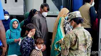 5 years after withdrawal, a grave picture for Afghans inside and outside the US