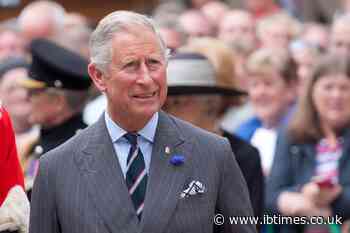 King Charles Sought a Family Meeting Between Prince William and Harry in the UK, Reports Indicate