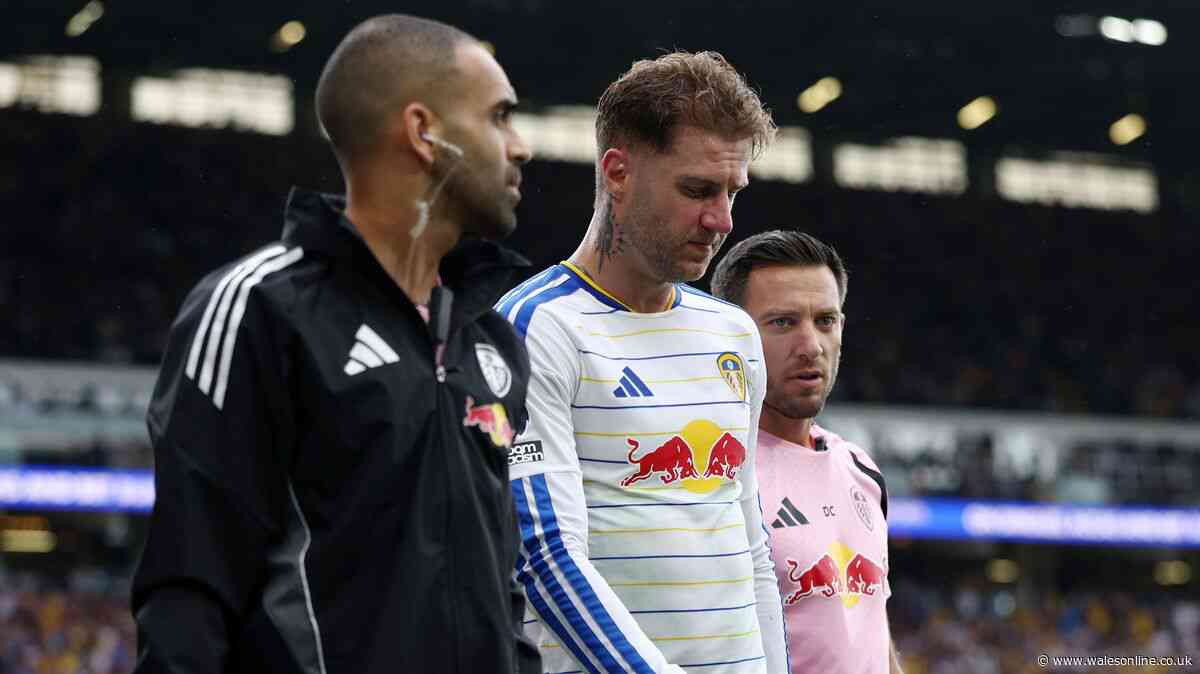 Leeds United's Daniel Farke gives transfer update after Joe Rodon news confirmed