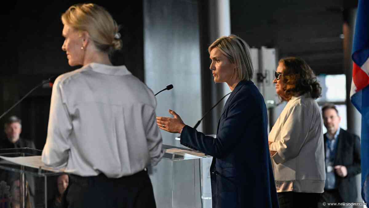 IJslands kabinet legt zich neer bij referendumuitslag over EU-onderhandelingen