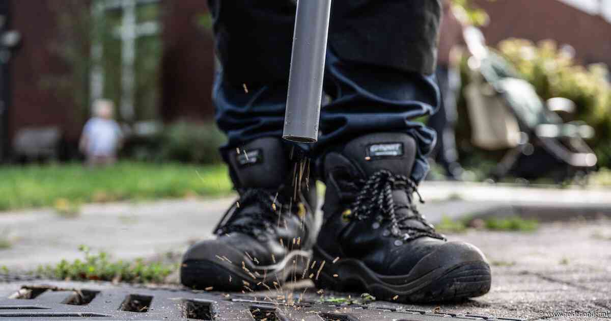 Huis aan huis op zoek naar de tijgermug in Lent: ‘Maar soms kom je niet binnen’