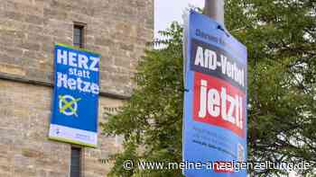 Vorgehen gegen die AfD: SPD und Grüne fordern Verbot von radikalen Landesverbänden