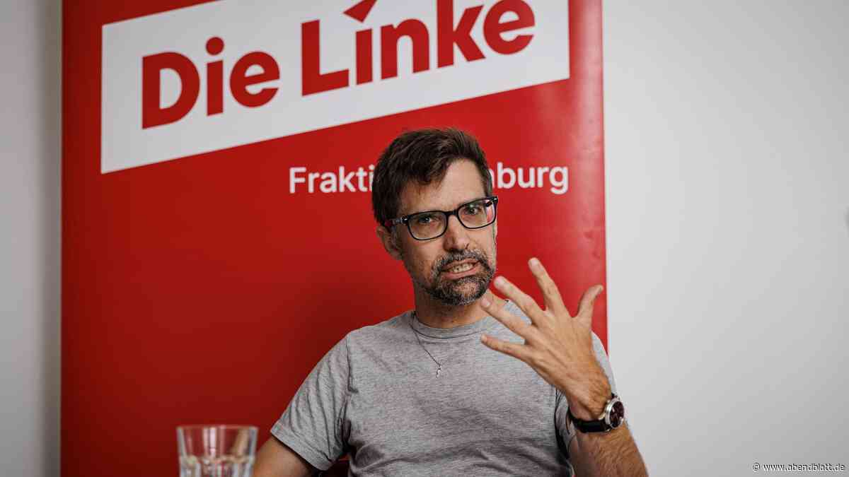„Dressel kapituliert“ – wo die Linke noch ungenutzte Einnahmequellen sieht