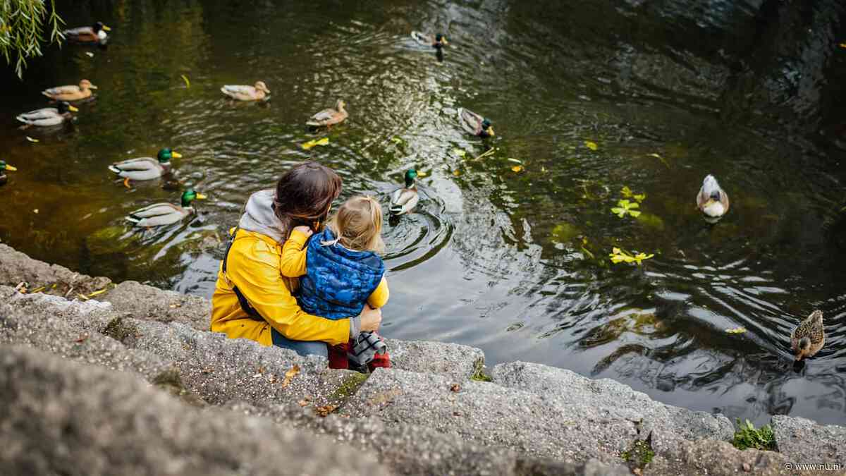 Regenbuien houden komende week aan, maar tussendoor laat de zon zich zien
