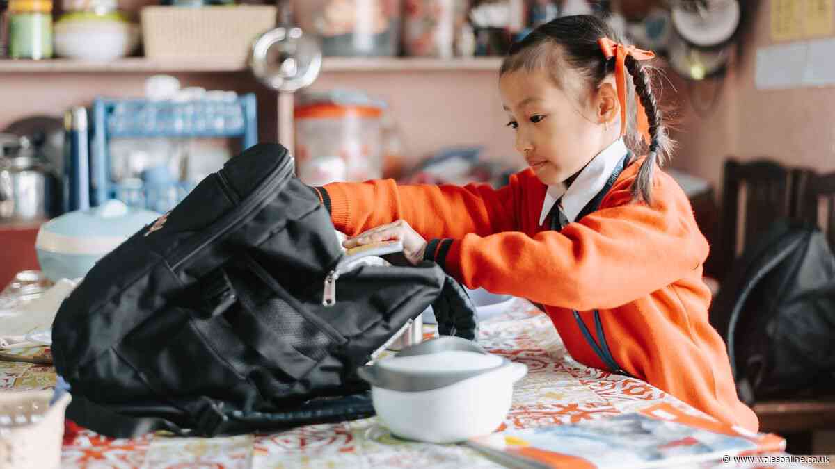 'Lightweight' £25 rucksack that 'fits everything' drops to £15 for new school term