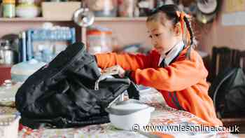 'Lightweight' £25 rucksack that 'fits everything' drops to £15 for new school term