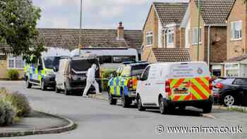 Teen, 16, one of two arrested after man, 46, 'shot in the stomach' at house in quiet village