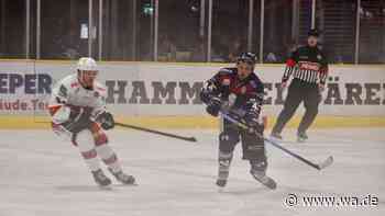 „Damit werden wir in dieser Liga keine Probleme haben“: Hammer Eisbären ärgern Hannover Indians und Kassel