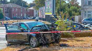 Man, 41, is dead after crashing Audi into tree 'following police chase' in Bedfordshire
