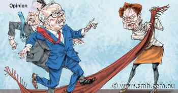 Is Hanson’s rise Albanese’s fall? Not so fast