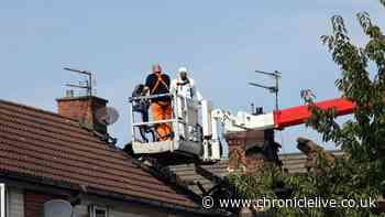 Police update on murder investigation after girl and aunt die in North East house blaze