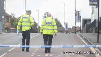 Cyclist, 16, dies after being hit by car in Birmingham: Man is arrested