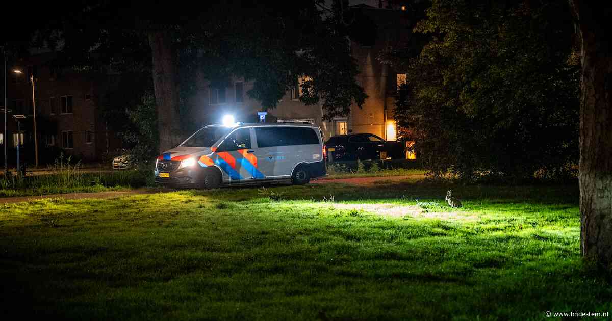 Opmerkelijk Burgernetbericht in Alphen: drie mara's ontsnapt uit Avifauna, politie rijdt met vangnetten door wijk