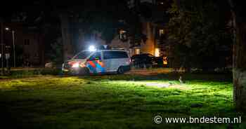 Opmerkelijk Burgernetbericht in Alphen: drie mara's ontsnapt uit Avifauna, politie rijdt met vangnetten door wijk