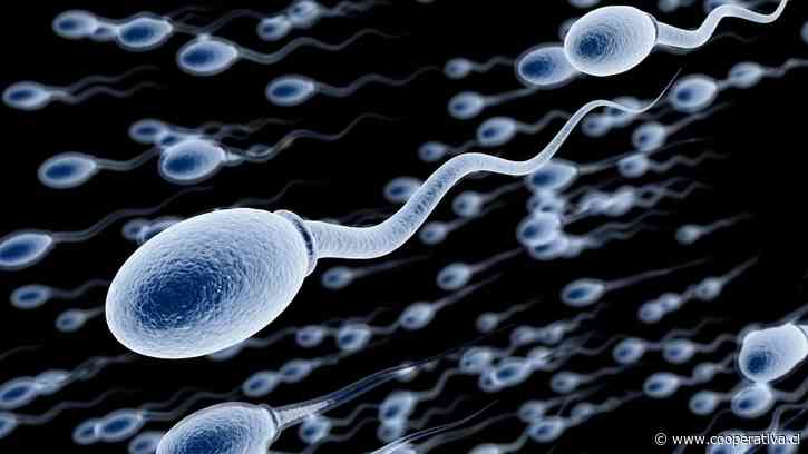 Megadonante de esperma asegura ser padre de 200 hijos en cuatro países