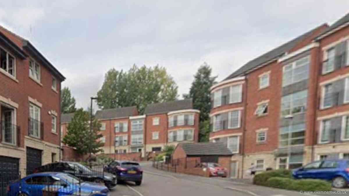 Newborn baby found dead in Sheffield as seven arrested on suspicion of murder
