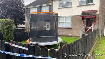 Little girl is fighting for her life after being found injured next to a dead man in Northern Ireland: Man is arrested