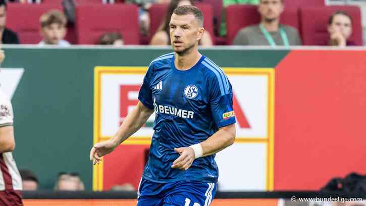 Schalke striker Edin Džeko makes Bundesliga return - 5,734 days after his last appearance