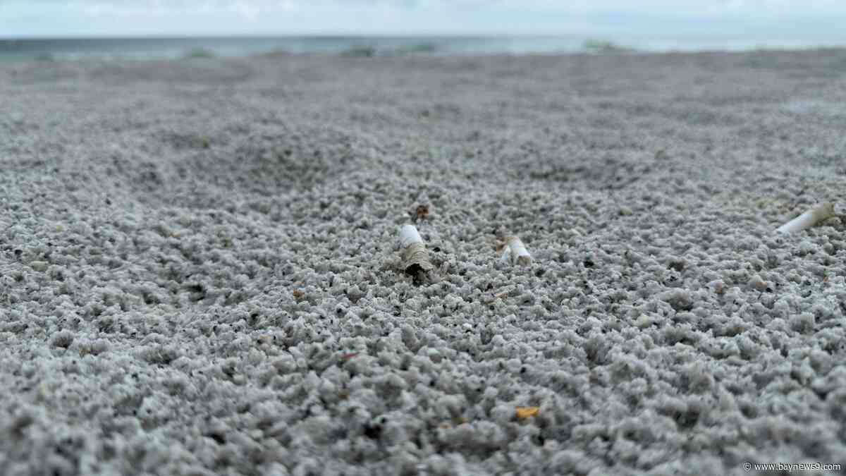 Proposed Indian Rocks Beach smoking ban targets cigarette butt litter