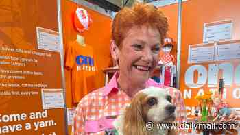 One Nation overtakes Labor as Australia's most popular party in shock new poll as Pauline Hanson surges