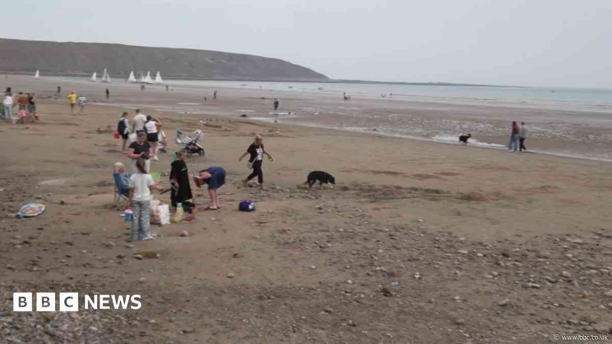 Beachgoers warned against swimming after pollution alert