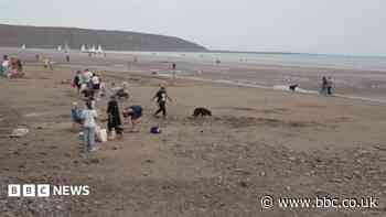 Beachgoers warned against swimming after pollution alert