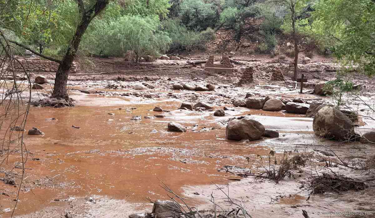 Dozens evacuated from Grand Canyon after flash flood hits creek leading to the Colorado River