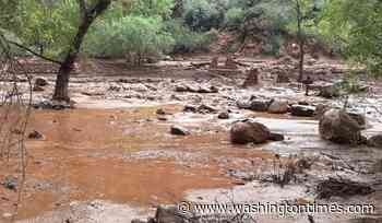 Dozens evacuated from Grand Canyon after flash flood hits creek leading to the Colorado River