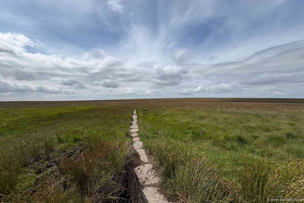 Innovative scheme to rewet peat providing protection from fire and flooding