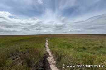 Innovative scheme to rewet peat providing protection from fire and flooding