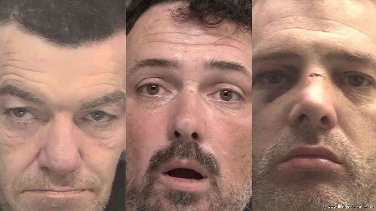 Pyjama thief, scout leader and drug dealing brothers jailed