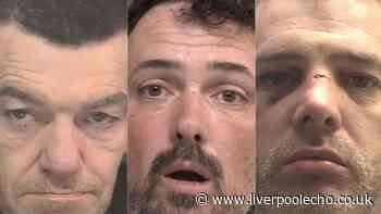 Pyjama thief, scout leader and drug dealing brothers jailed
