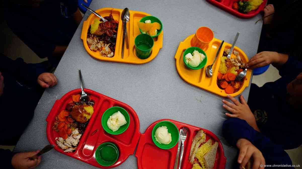 Union urges Tyneside council to bring school meals back in-house after damning national report
