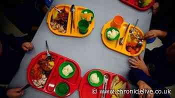 Union urges Tyneside council to bring school meals back in-house after damning national report