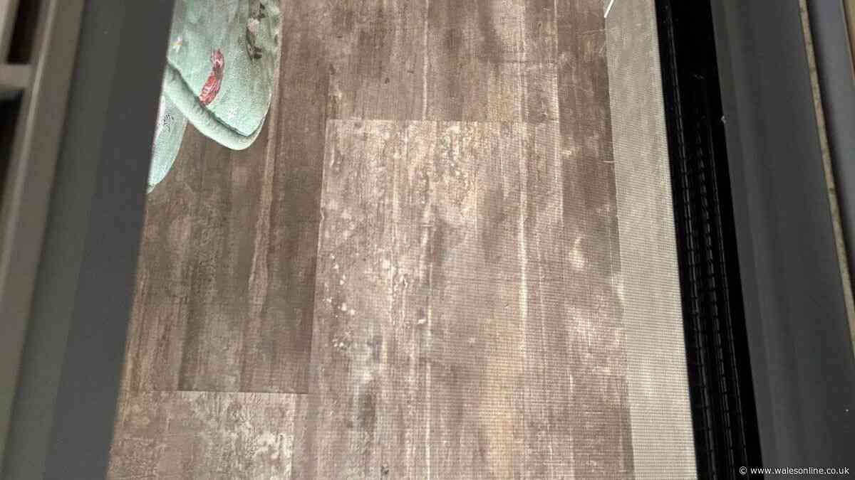 I tested Oven Pride, Elbow Grease and vinegar — one was the best oven cleaner