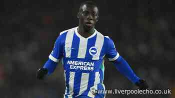 Liverpool transfer state of play - Bradley Barcola,  Yankuba Minteh, Cody Gakpo, Jamie Leweling