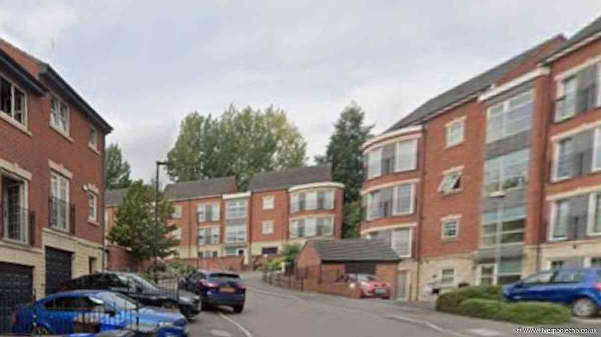 Newborn found dead in flat as seven arrested for murder in Sheffield