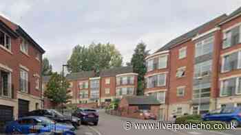 Newborn found dead in flat as seven arrested for murder in Sheffield