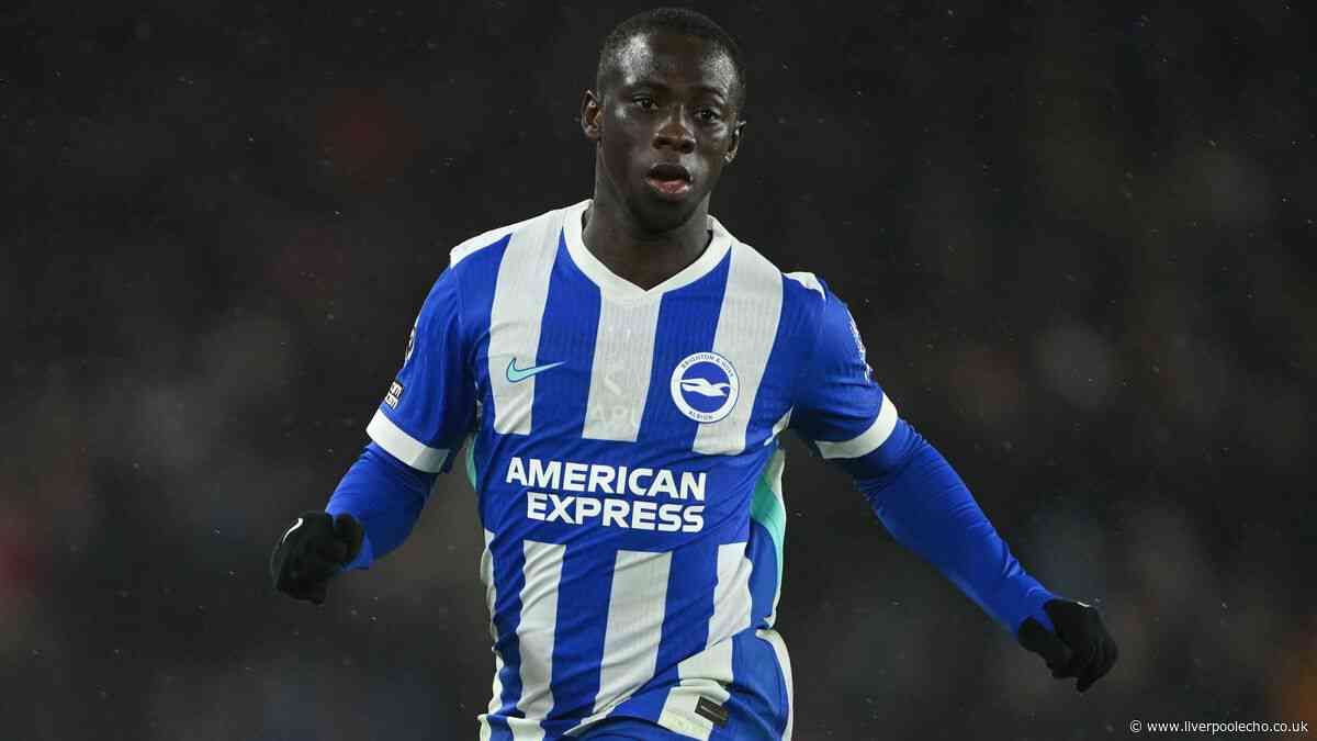 Liverpool transfer state of play - Bradley Barcola,  Yankuba Minteh, Cody Gakpo, Jamie Leweling