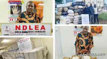 NDLEA intercepts ‘Jihadi drug’, N4.6bn opioids in Lagos