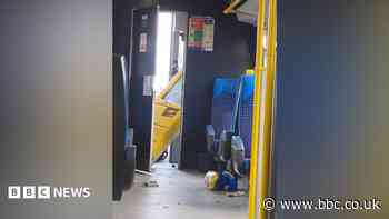 Mum says family 'lucky to be alive' after train crash