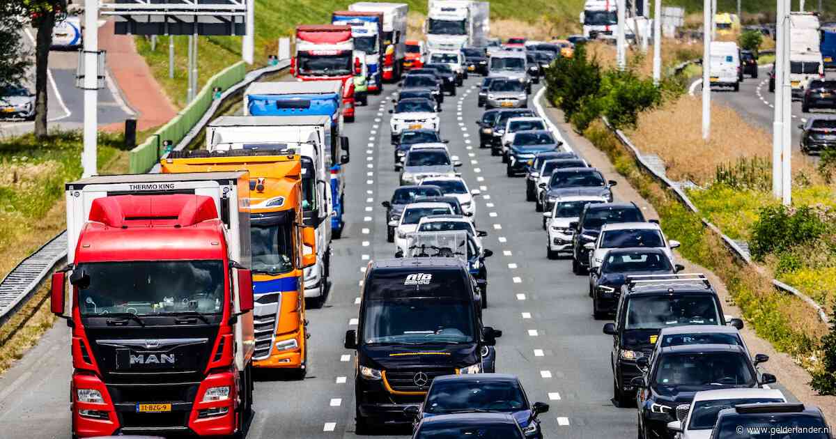 Terug naar werk en school: waarom het op het spoor véél drukker wordt dan op de snelweg