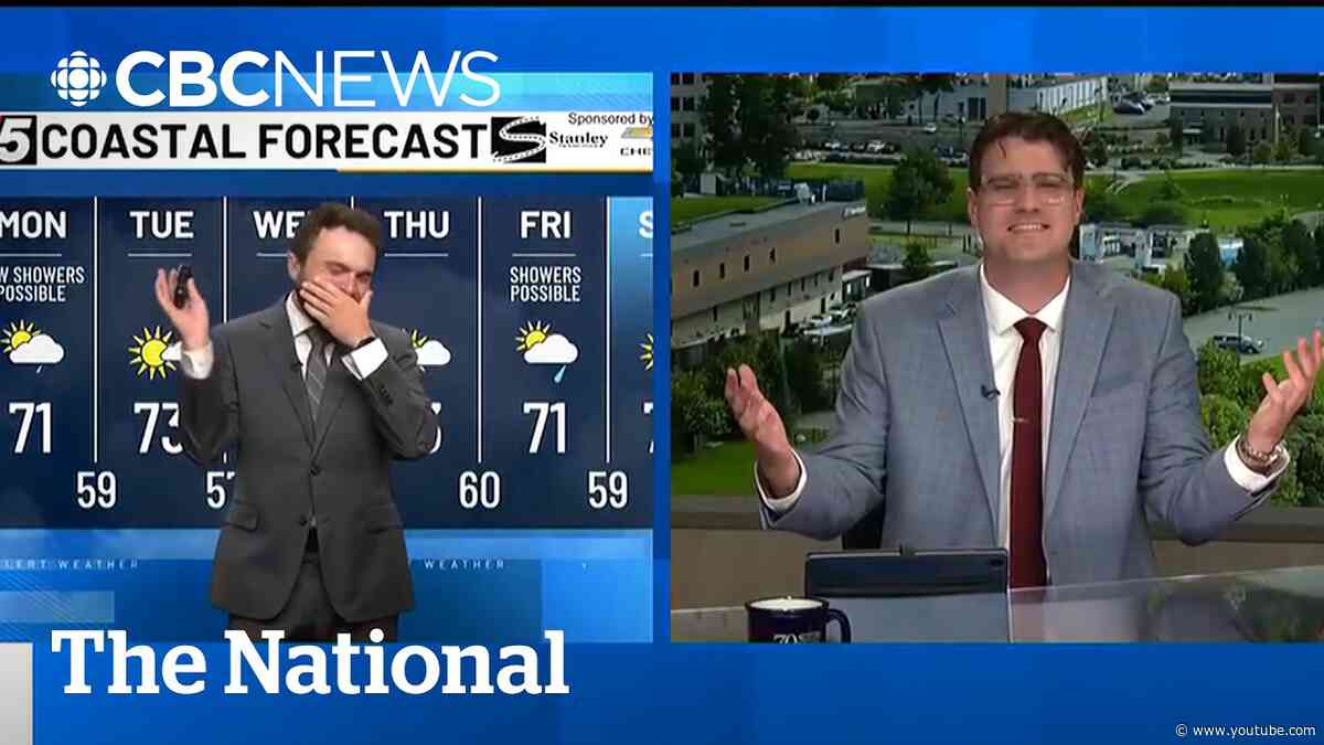 Meteorologist has laugh attack meltdown on live TV | The Moment